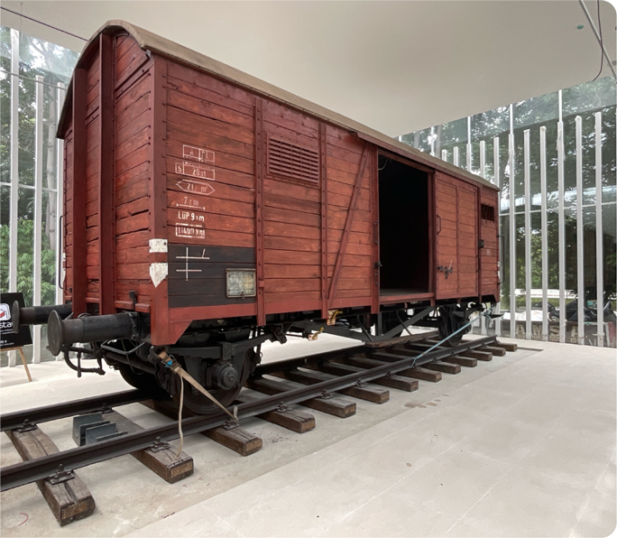 museo-grafia-serv